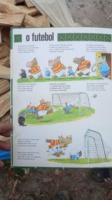 livro infantil ''os desportos''