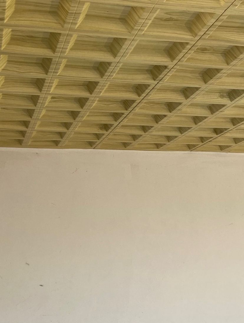 Teto Falso Decorativo Em Plástico Para Área De 26,5 m²