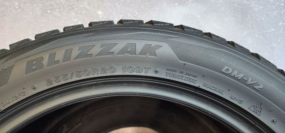 255.50.20 Bridgestone Blizzak DM-V2 4шт