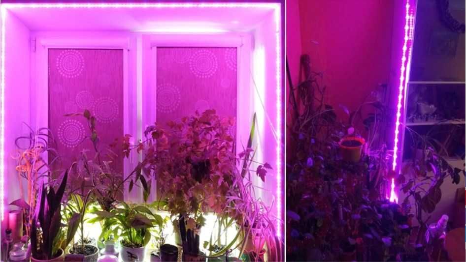 Фіто LED стрічка для рослин з USB