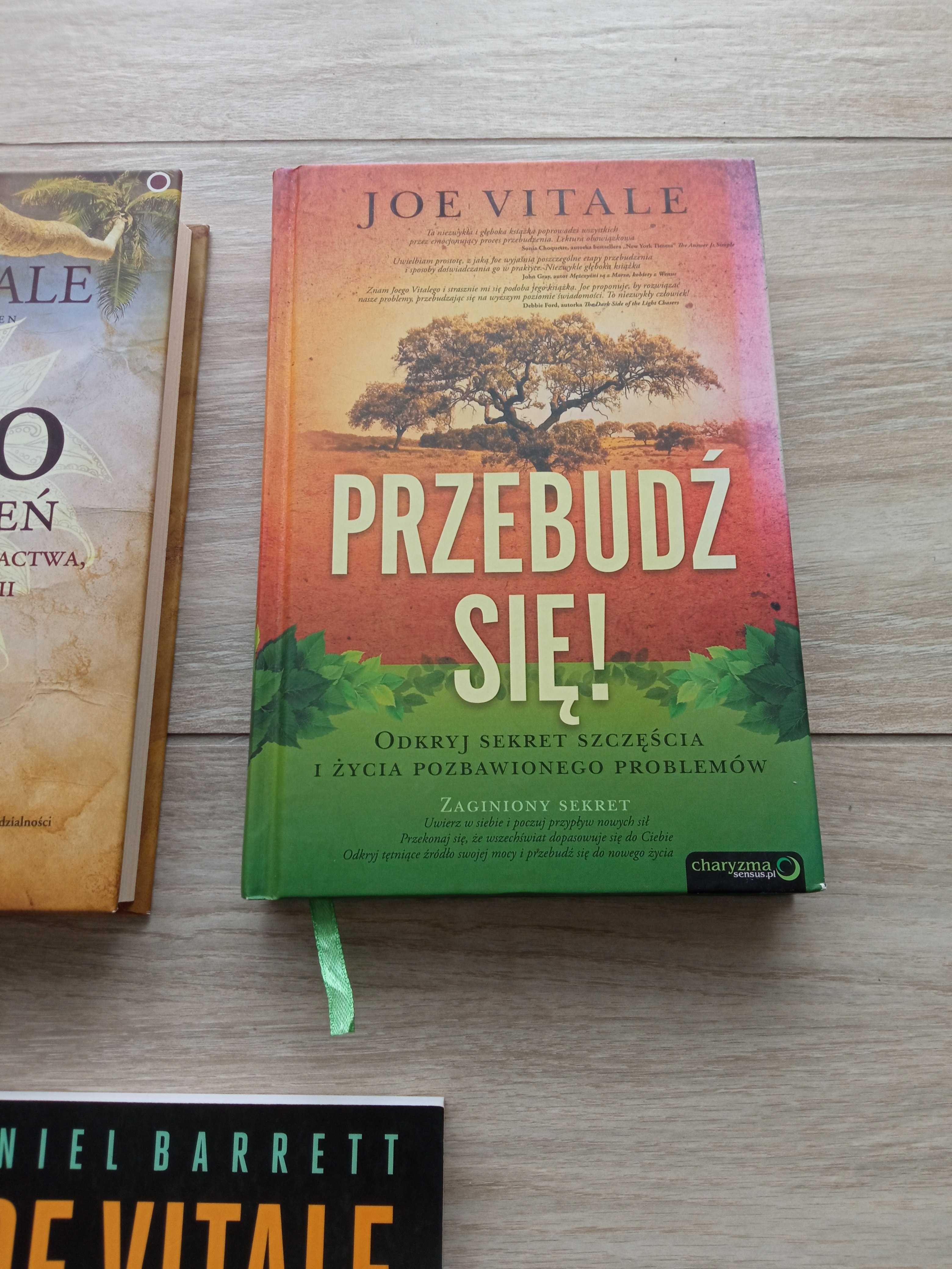 Joe Vitale Przebudź się Zero ograniczeń Powrót do przyszłości
