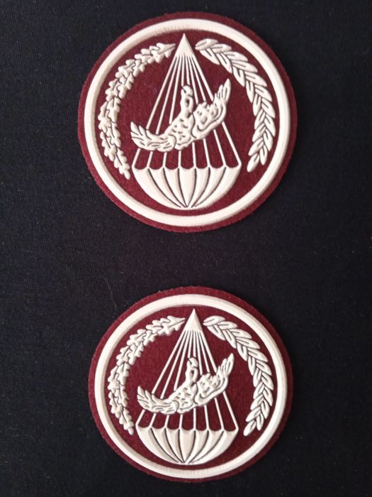 Naszywka wojskowa Desant lwp spadachronowa PDP .