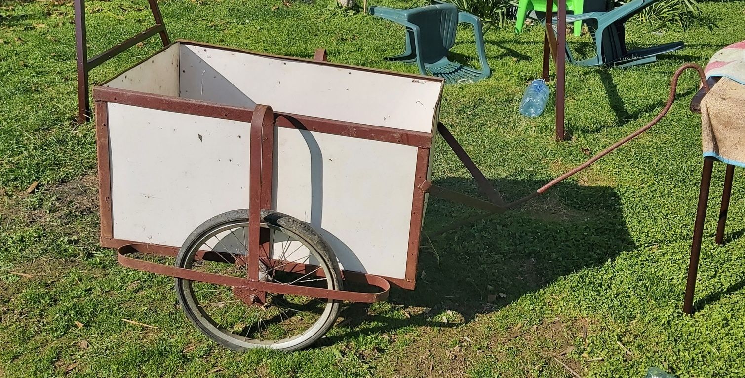 Wózek ogrodowy transportowy przyczepka dwukółka