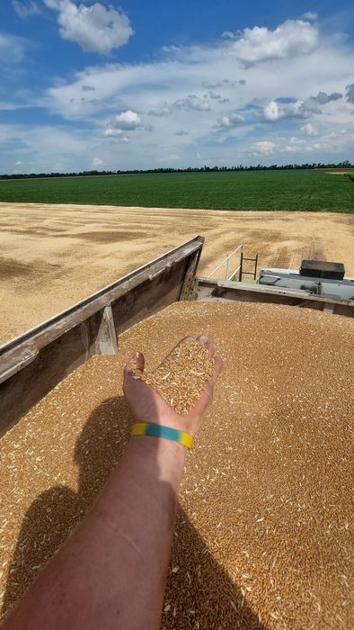 Продам комбаєн Клас Лексіон 480