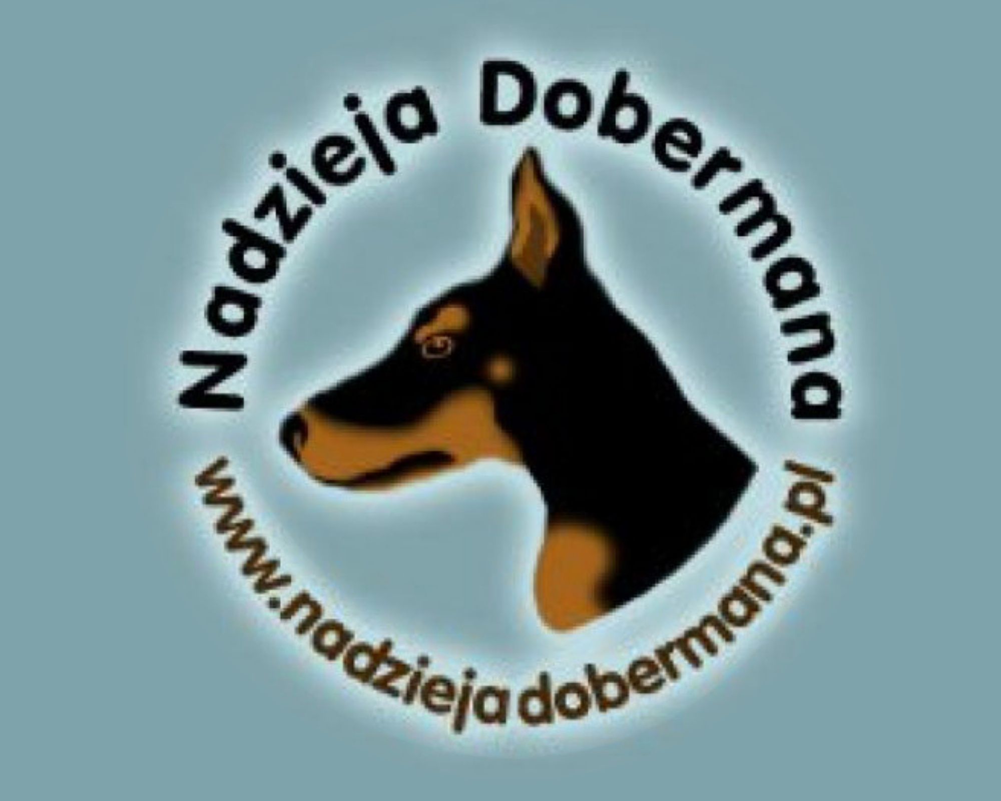 Niuniek do adopcji!