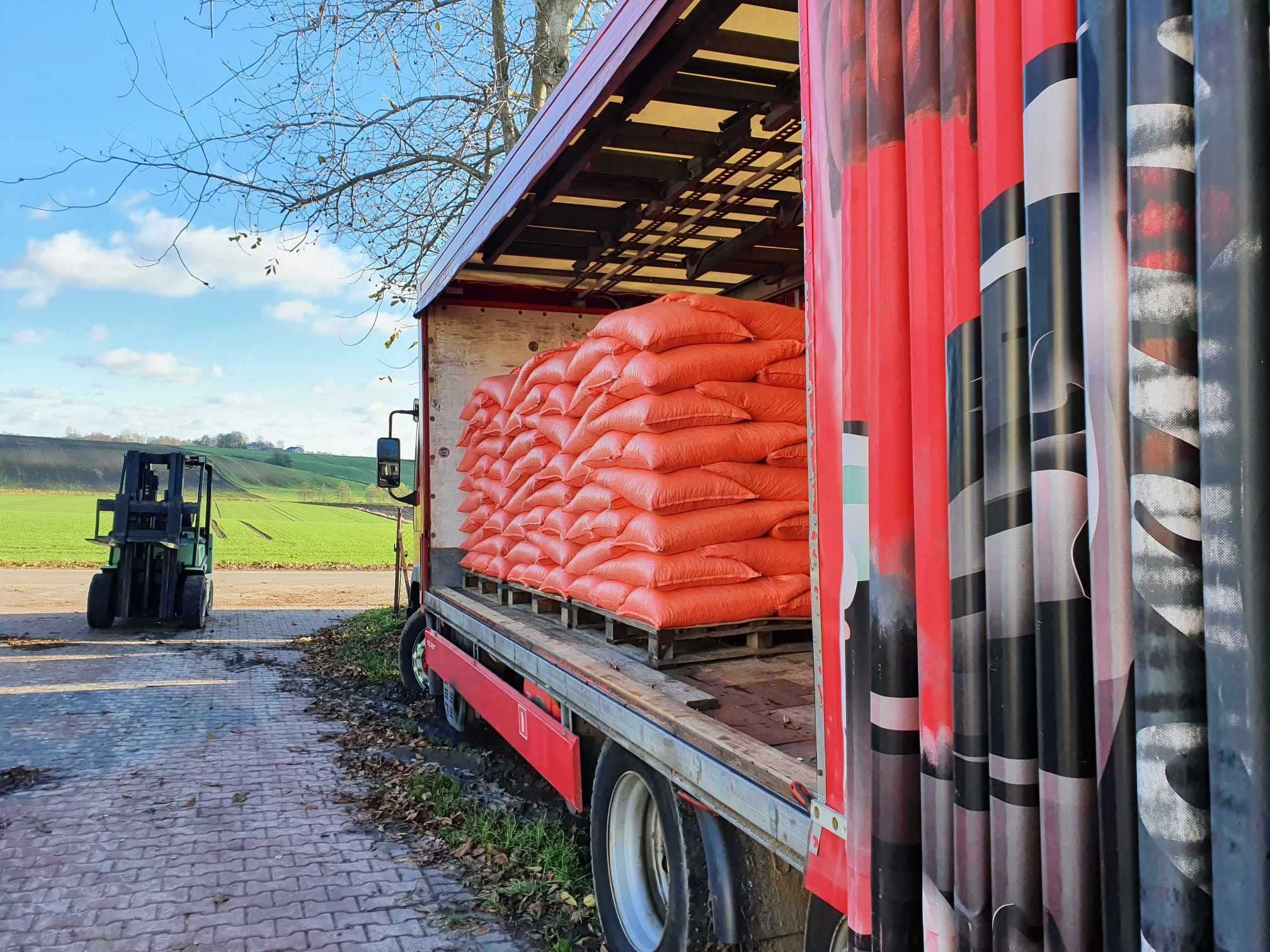lucerna SUPER nasiona extra PIERWSZA KLASA od producenta sprawdzone