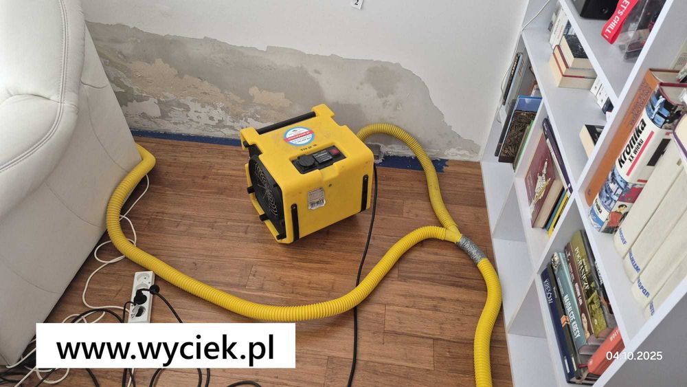 Zabrze. Lokalizacja wycieków wody + naprawa + osuszanie. Bezgotówkowo