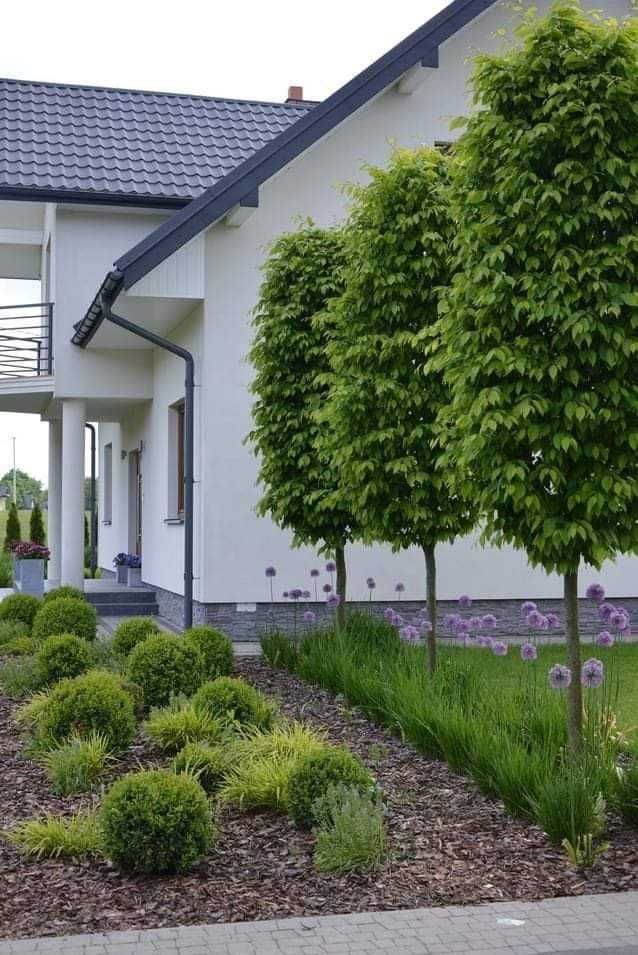 Usługi ogrodnicze, automatyczne nawadnianie,  zakładanie trawników