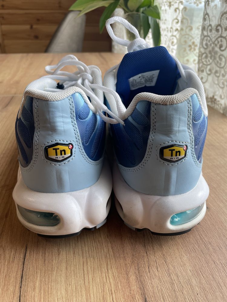 Кросівки Nike Air Max Plus (FJ4736-400) 46 розмір