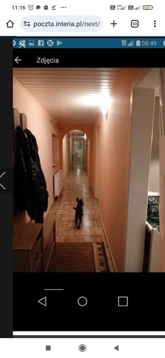 Dom na wynajem oferuje okazja suchy las