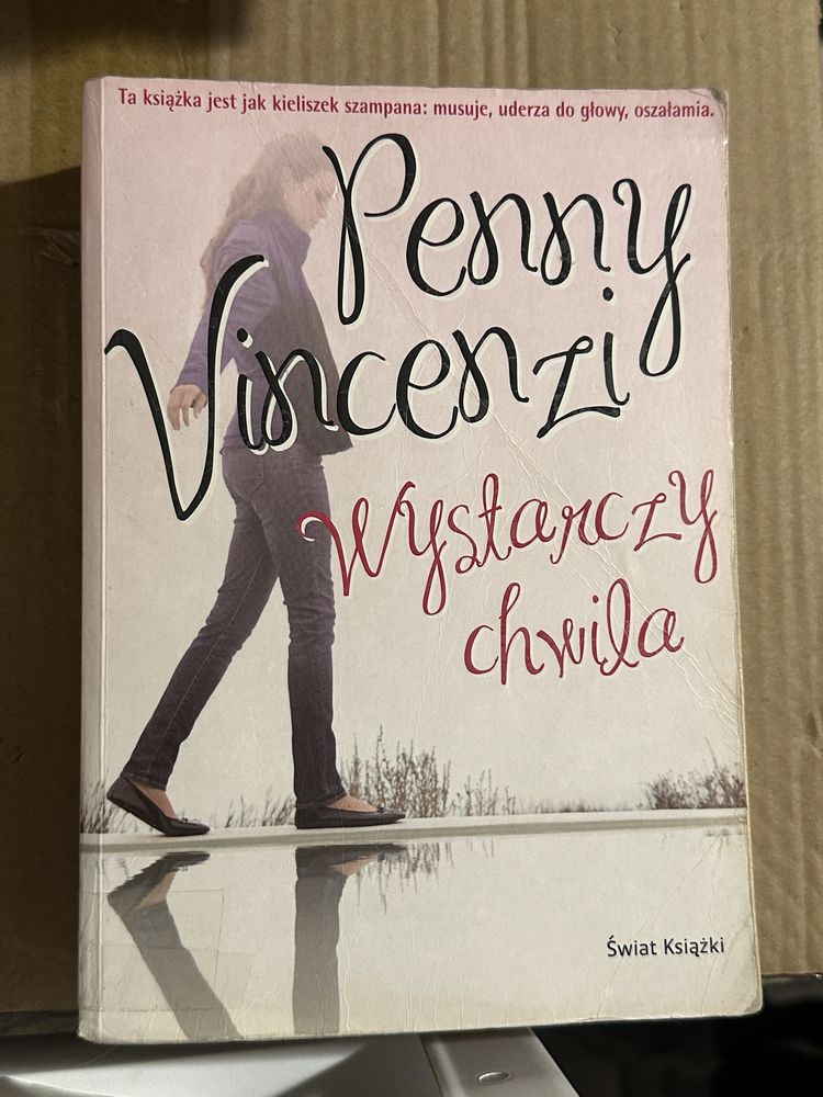 wystarczy chwila - penny vincenzi