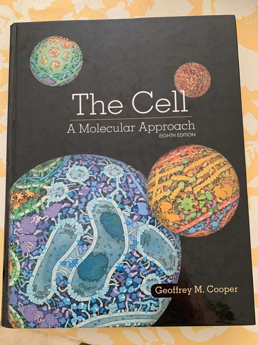 THE CELL - a Molecular Approach