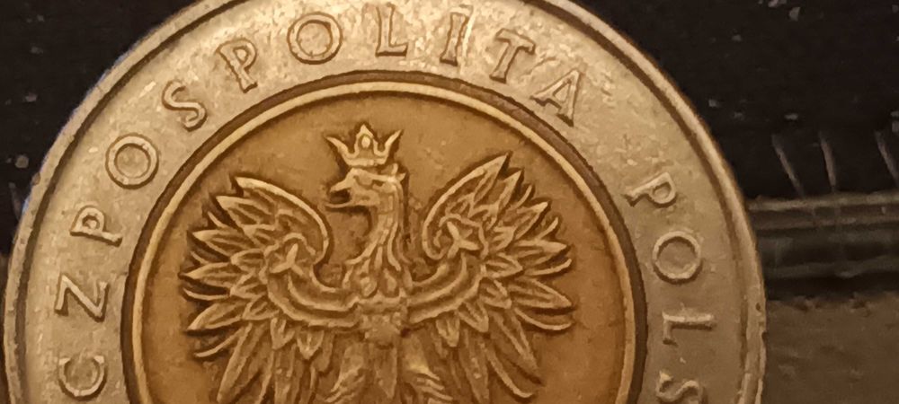 Monety Polska Destrukt 5zł. 1994 rzadkie