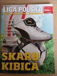 Skarb Kibica Ekstraklasa wiosna 2010/11