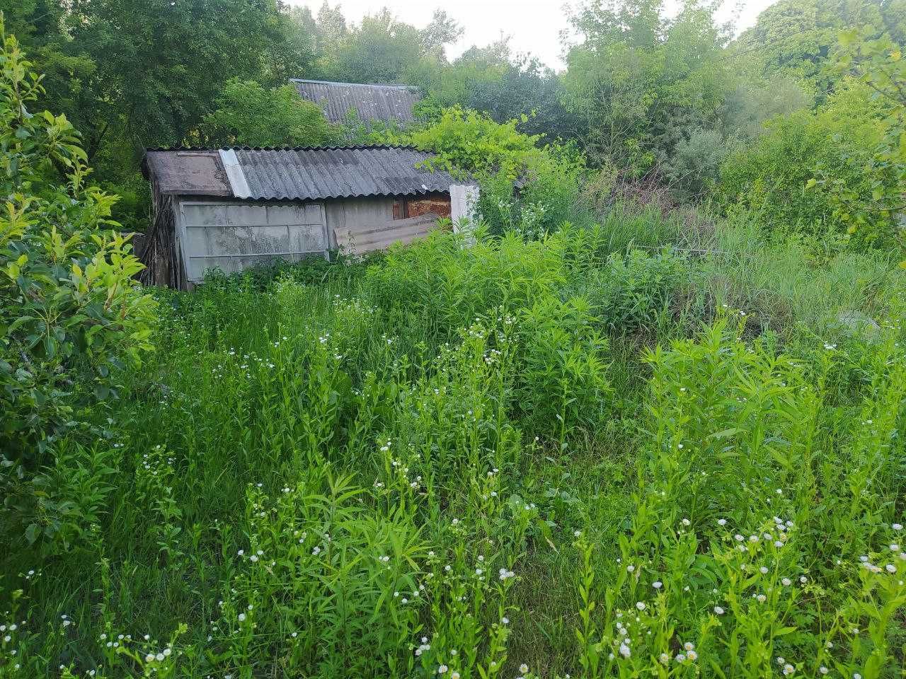 Продам дачу, дачний будинок (дачний масив Промінь)