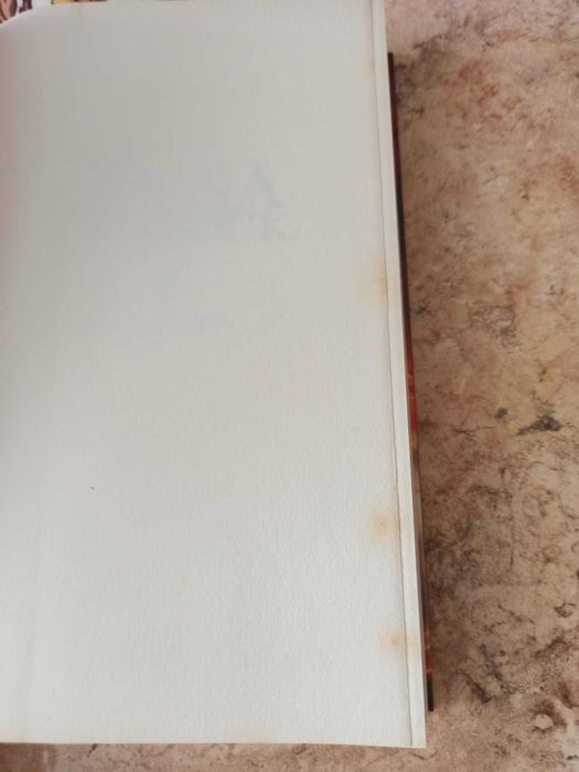 Livro Oksa Pollock - A Inesperada