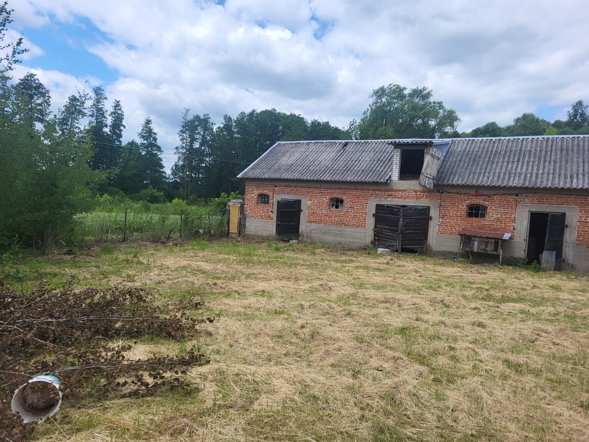 Siedlisko z działką 80 arów