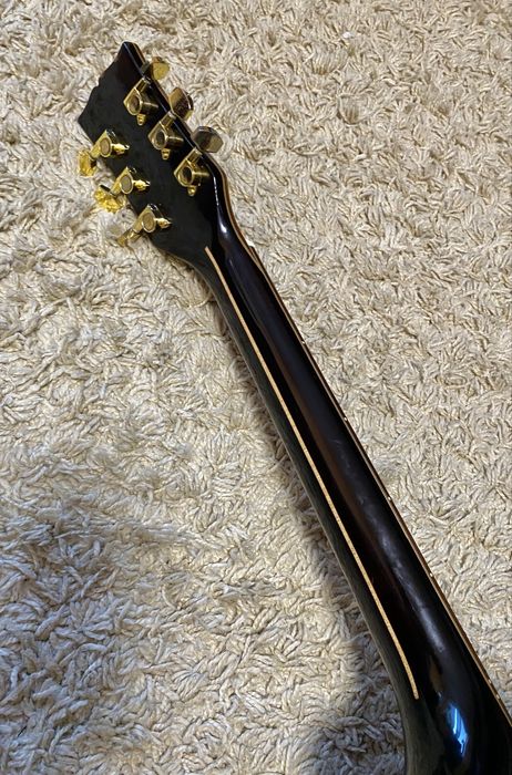 Електроакустическая гитара Santander WS100 EQ массив (PRS)