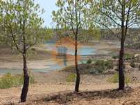 Terreno Rustico Com 6.720 M2 - Próximo Da Barragem Do Beliche Em Al...