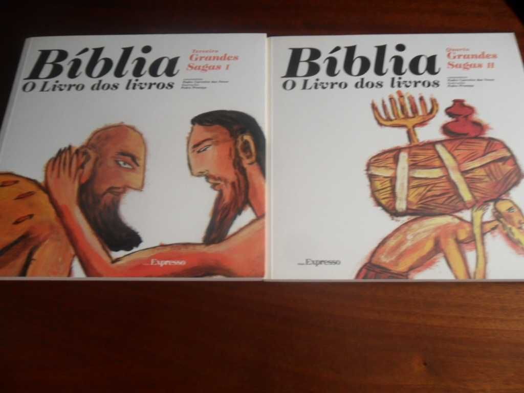 Bíblia, o Livro dos Livros - Edição Especial em 12 Volumes