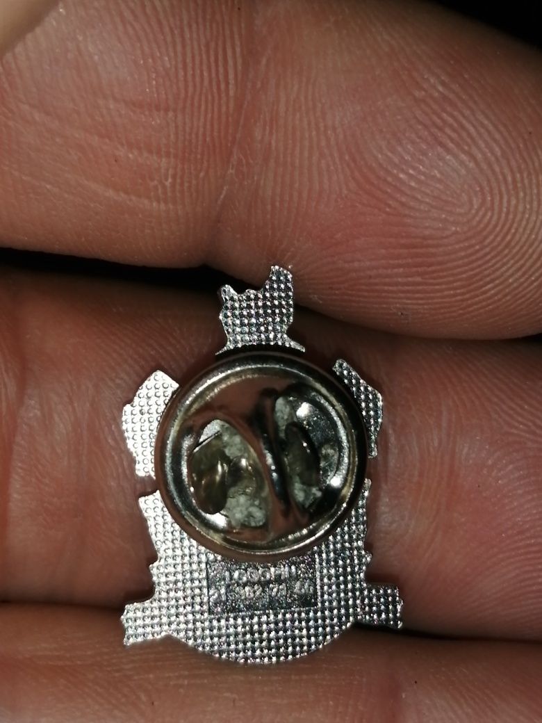 Pin do Instituto Politécnico de Castelo Branco