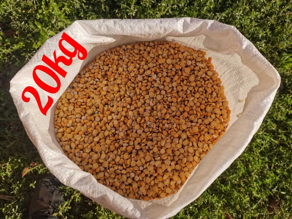Groch połówki opakowanie 20kg wysyłka natychmiast Inpost