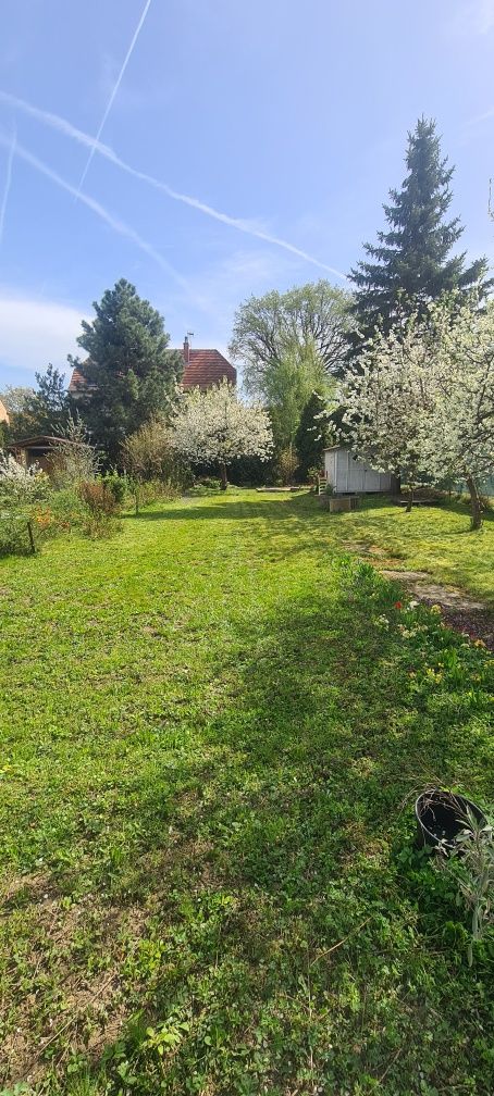 Działka ROD Legnica Bielany rodos