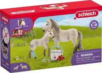 Horse club Islandzki Koń i apteczka SLH42430