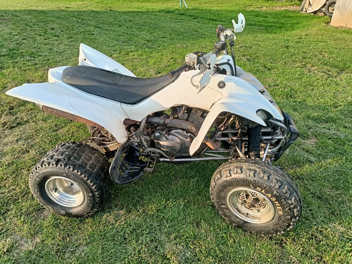 Yamaha raptor 350