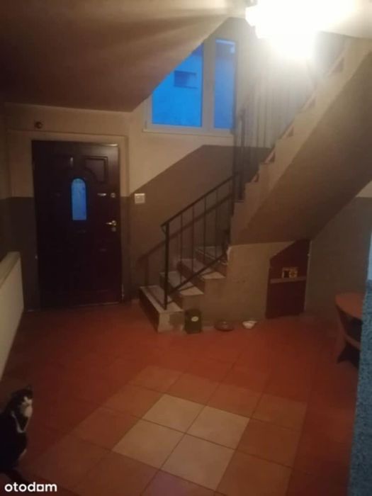 Sprzedam dom w Łęgowie, blisko jeziora