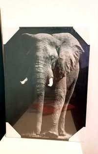 Nowy obrazek z słoniem  wymiary 28x38 cm