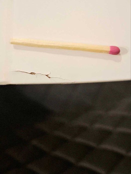 Стіл обідній круглий Б/В - 110 см - 200 см