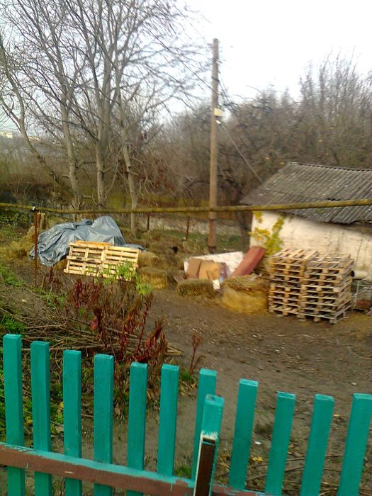 Потрібна допомога з організації притулку для тварин