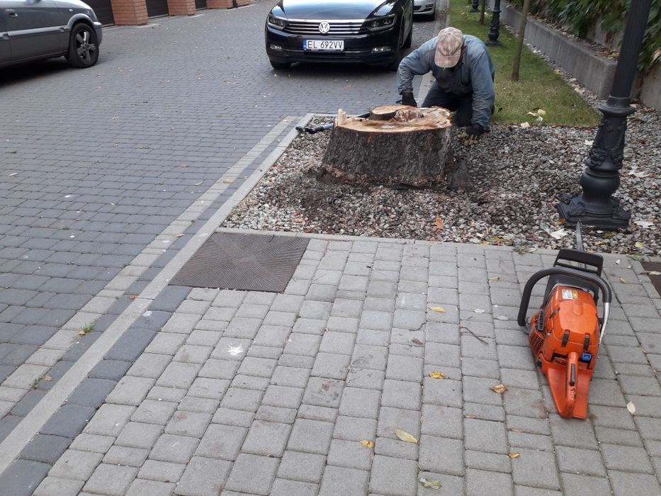 Drewno drzewo kominkowe opałowe Pabianice Konstantynów Ksawerów Aleksa