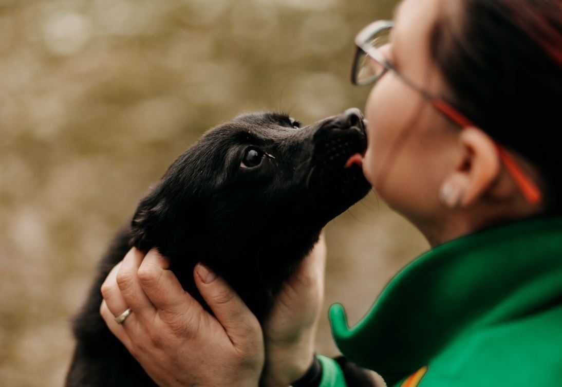 Malutki, nieco nieśmiały Mafin poleca się do adopcji!!!