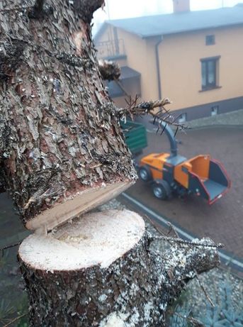 Wycinka Drzew Metodą Alpinstyczną\z Podnośnika,frezowanie pni