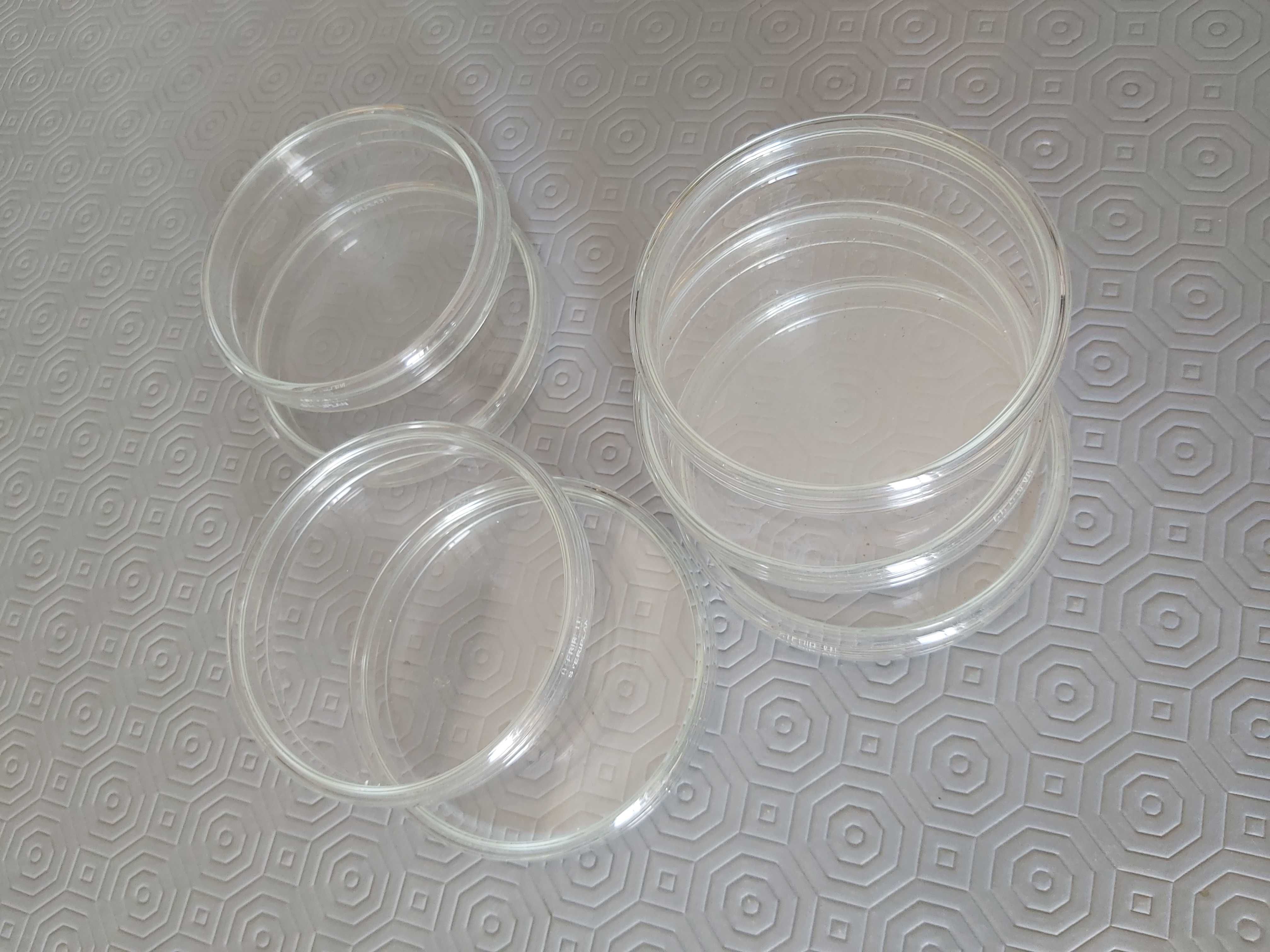 Caixas Vidro Petri 10cm