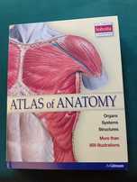 Atlas anatomii Sobotta ang. Anatomia człowieka
