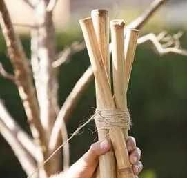 ⋙ Бамбуковые Опоры Стволы Колышки для подвязки помидор, деревьев и т.д