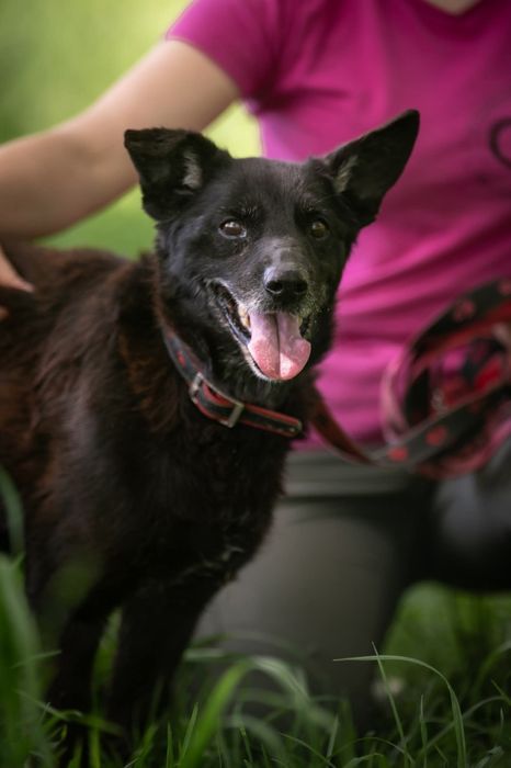 ,,zwykły czarny i brzydki pies"-tak o nim mówią. Zobaczysz coś więcej?