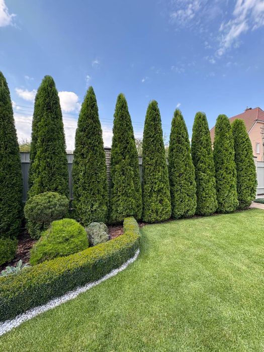 Садівник Київ,та область