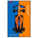 Ramka do ekspozycji ściennej LEGO McLaren F1 42141