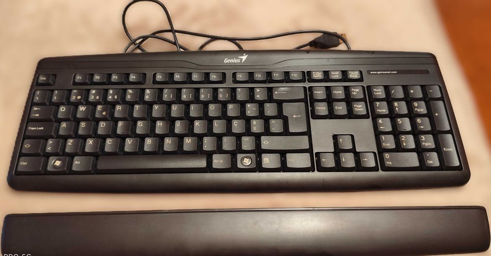 Teclado Genius KB-120