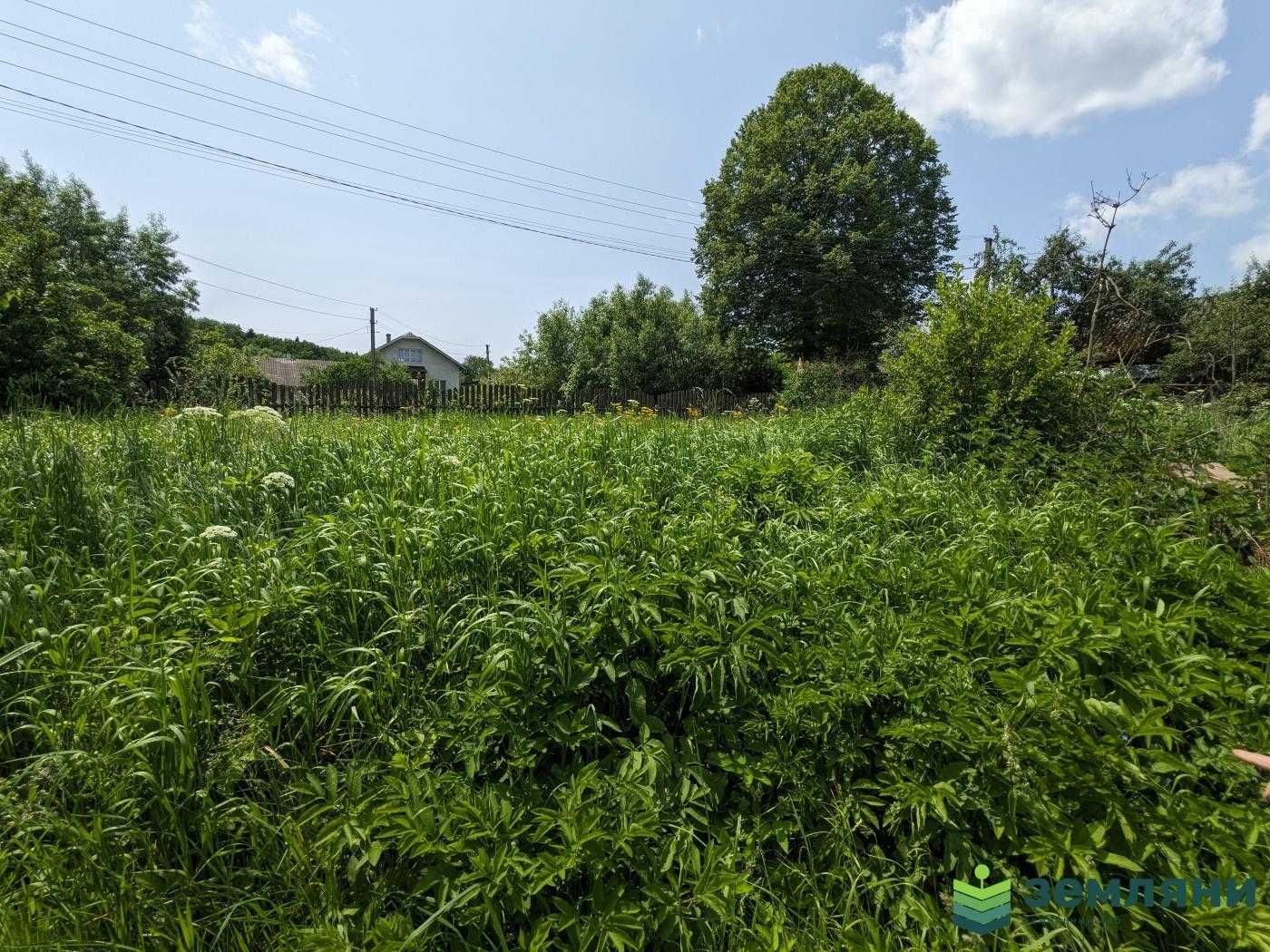 Продається ділянка під будову Рибне (1)