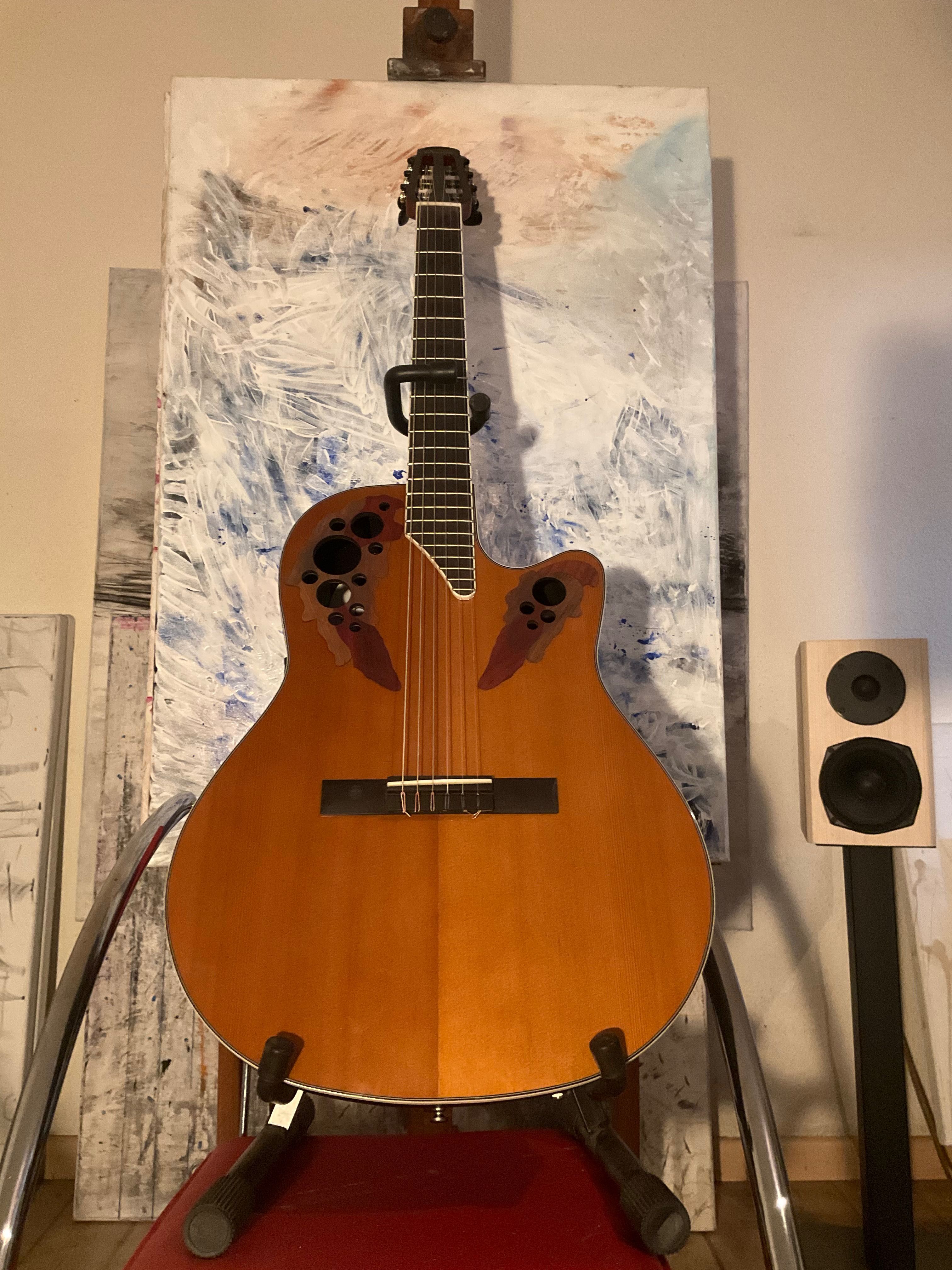 Ibanez, Ovation, Squier, elektryczna, elektroakustyczna, zamiana