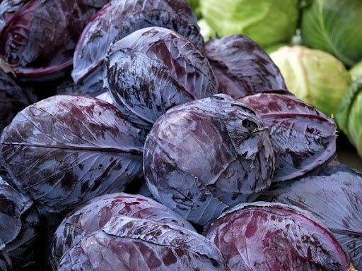 Продам  капуста синя , цибуля, столовий буряк, .