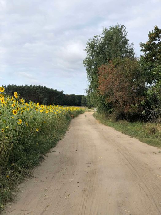 Działka budowalna Włoszakowice k. Leszna