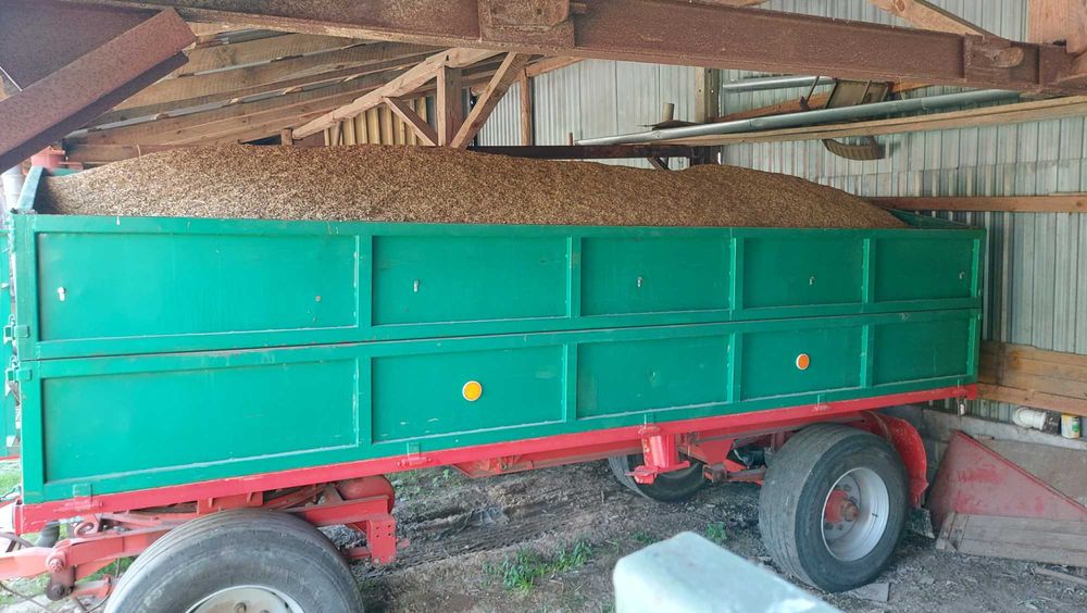 Owies luzem 7 ton | transport do 20 km