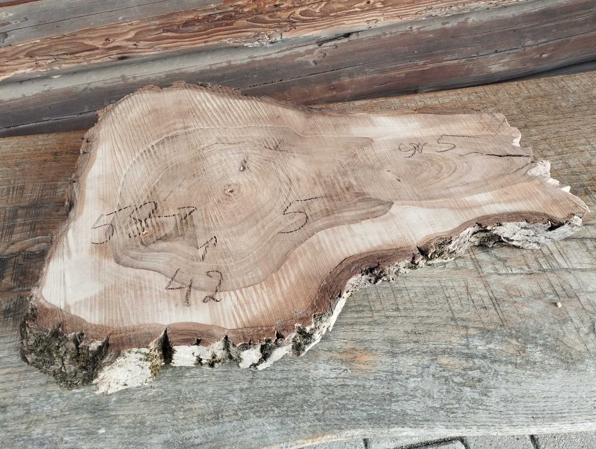 Plaster drewna duży Korzeń Piękny Solidny Orzech DIY Wybór sztuki HIT