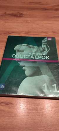 Oblicza epok 1.1 język polski WSiP